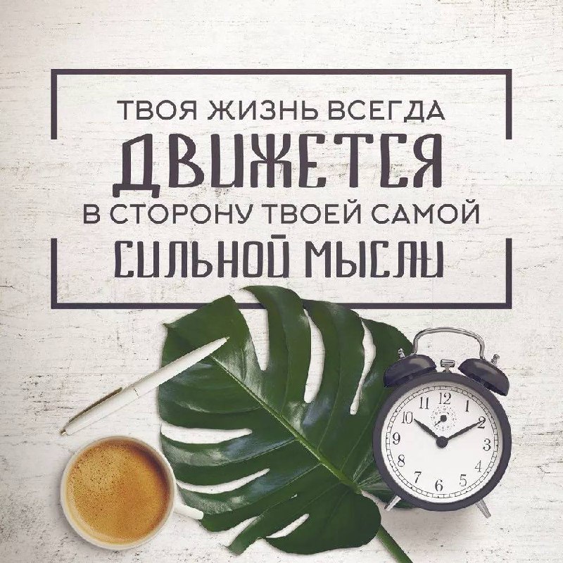 Сетка — социальная сеть от hh.ru