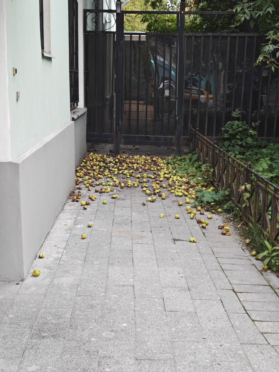 Люди такие: я люблю осень 🍂
Тем временем осень, которую они любят: новый скин лета | Сетка — социальная сеть от hh.ru