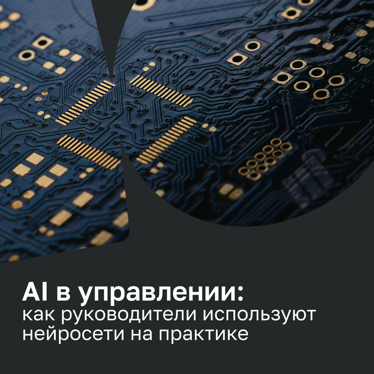 ⚡AI в управлении: как руководители используют нейросети на практике
2025 год сделал искусственный интеллект частью управленческих процессов | Сетка — социальная сеть от hh.ru