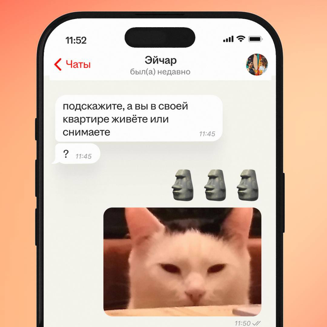 Red flags замечены. А что дальше? | Сетка — социальная сеть от hh.ru