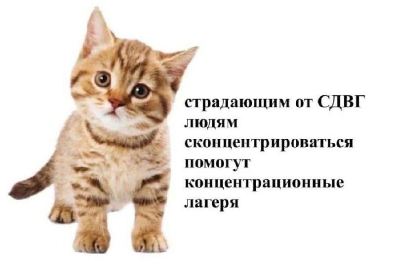 Одна из главных проблем интуитов экстравертов
Для сенсоров экстравертов это также актуально, но проявляется в меньшей степени, по определенным причинам, там свои подводные камни
Хватит оправдываться, ... | Сетка — социальная сеть от hh.ru