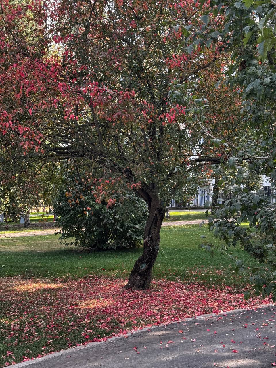 15 СЕНТЯБРЯ. ОСЕНЬ ВНЕЗАПНО 🍂🚲
Сидишь за компом: звонки, задачи, новости про искусственный интеллект.
Кажется, мир крутится только вокруг этого.
А потом — выходишь посреди дня на велосипеде | Сетка — социальная сеть от hh.ru