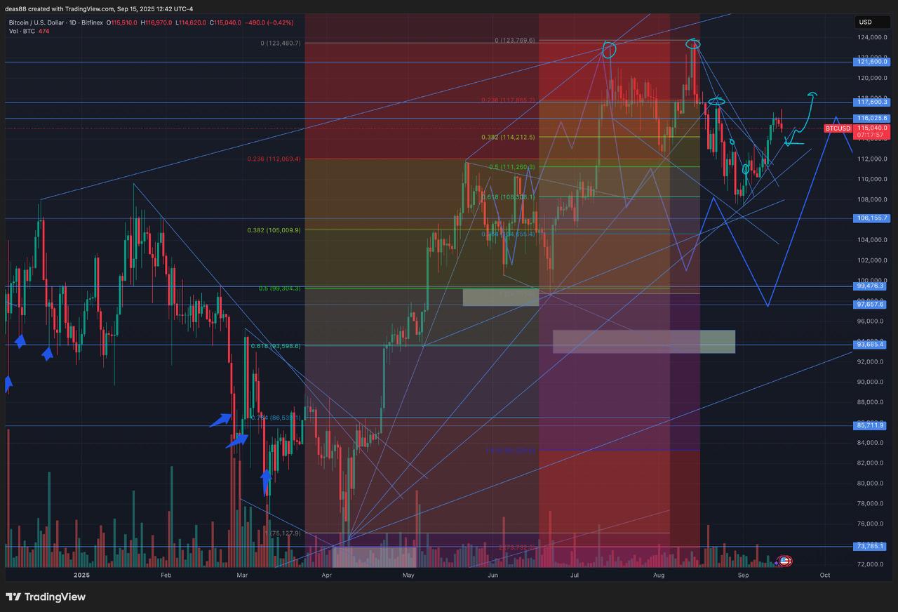📈 BTC – готовимся к пробою поддержки
По BTC жду пробоя текущей линии – движение может продолжиться вниз в зону $113 500.
Это нормальная разгрузка перед следующим импульсом | Сетка — социальная сеть от hh.ru