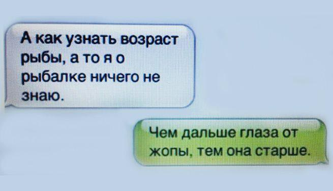 Как узнать возраст ИТ проекта? | Сетка — социальная сеть от hh.ru