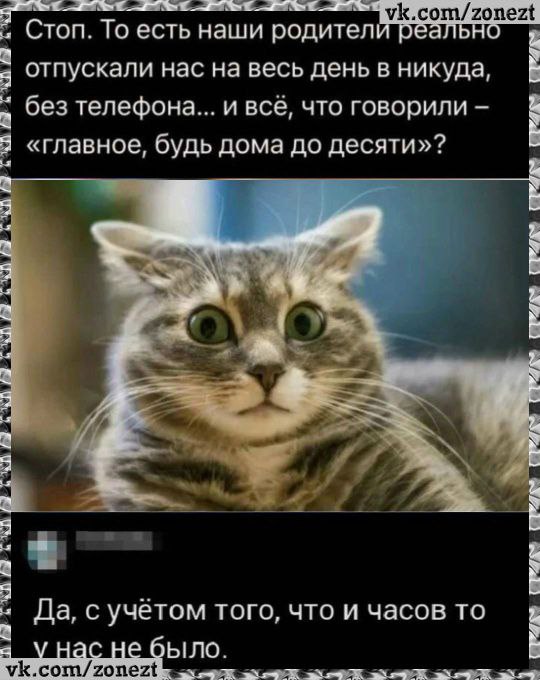 Мемный вторник | Сетка — социальная сеть от hh.ru