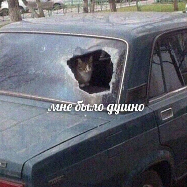 Мемный вторник | Сетка — социальная сеть от hh.ru