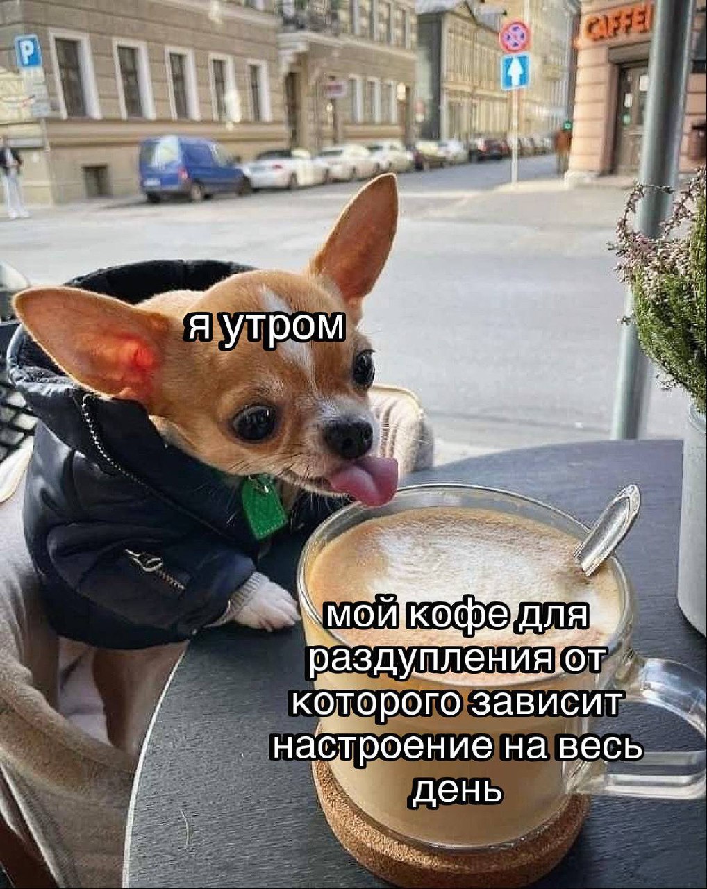Признавайтесь, кто узнал себя? 😁 | Сетка — социальная сеть от hh.ru