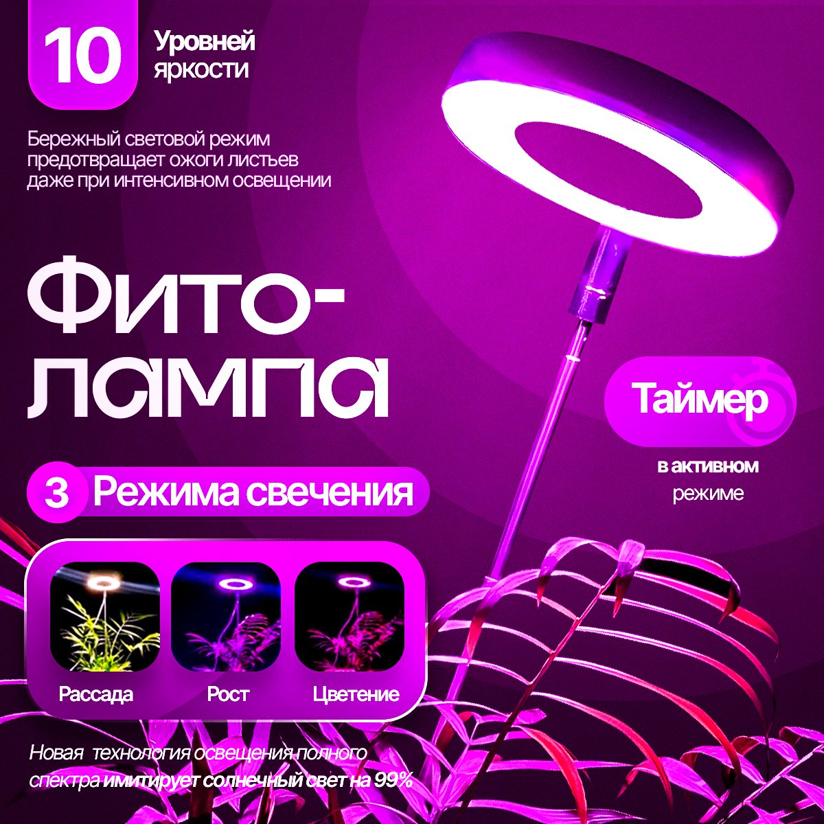 Карточки для маркетплейсов | Сетка — социальная сеть от hh.ru