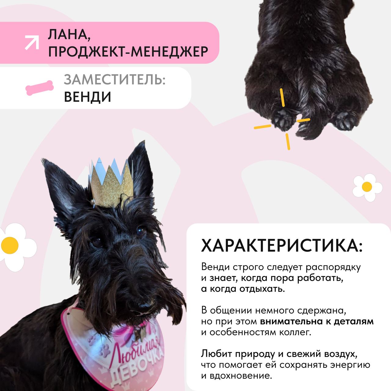 Они не сдают проекты.
Не редактируют макеты.
🧢Не заходят в Weeеk. Но делают одно очень важное дело – заочно поддерживают нас на каждом созвоне | Сетка — социальная сеть от hh.ru