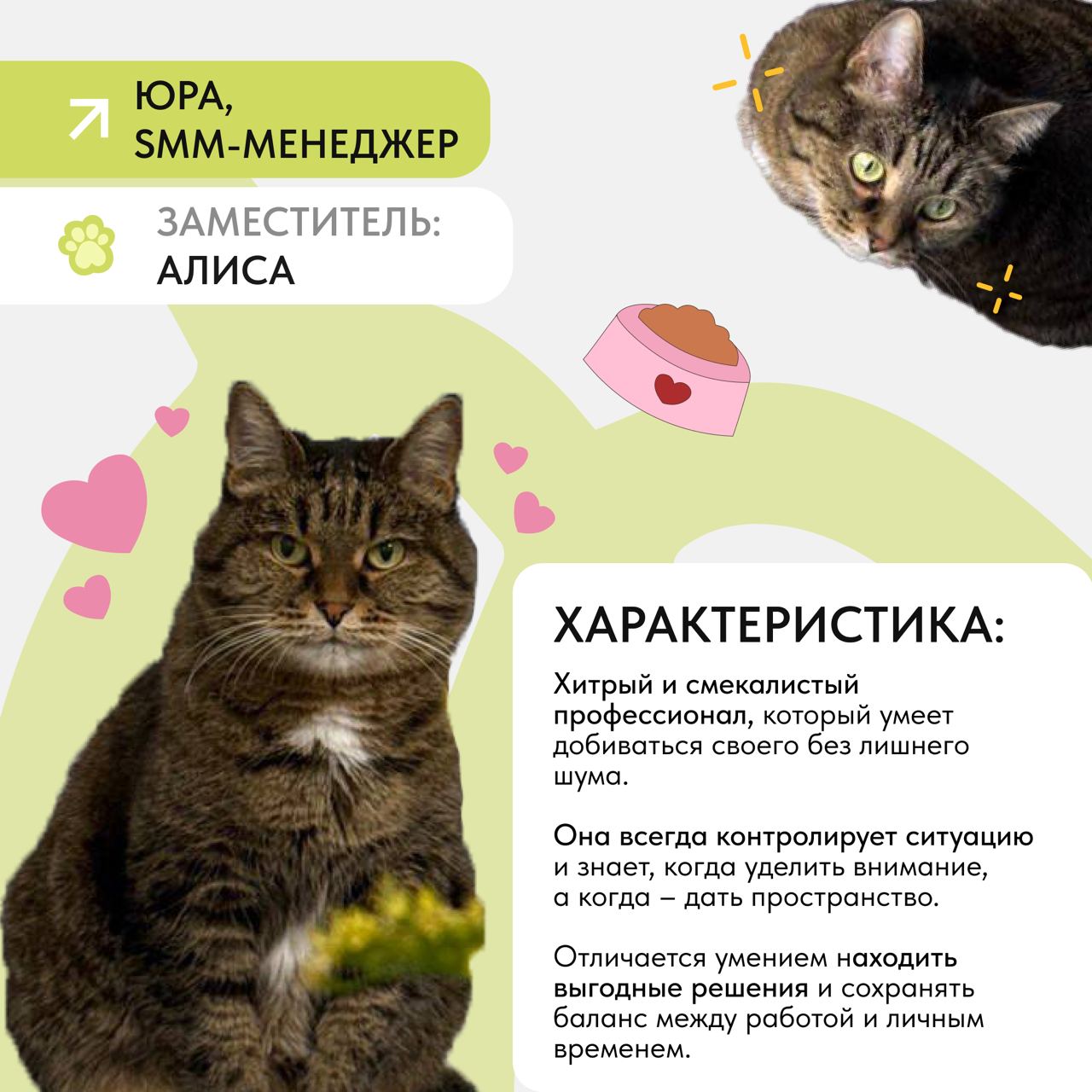 Они не сдают проекты.
Не редактируют макеты.
🧢Не заходят в Weeеk. Но делают одно очень важное дело – заочно поддерживают нас на каждом созвоне | Сетка — социальная сеть от hh.ru