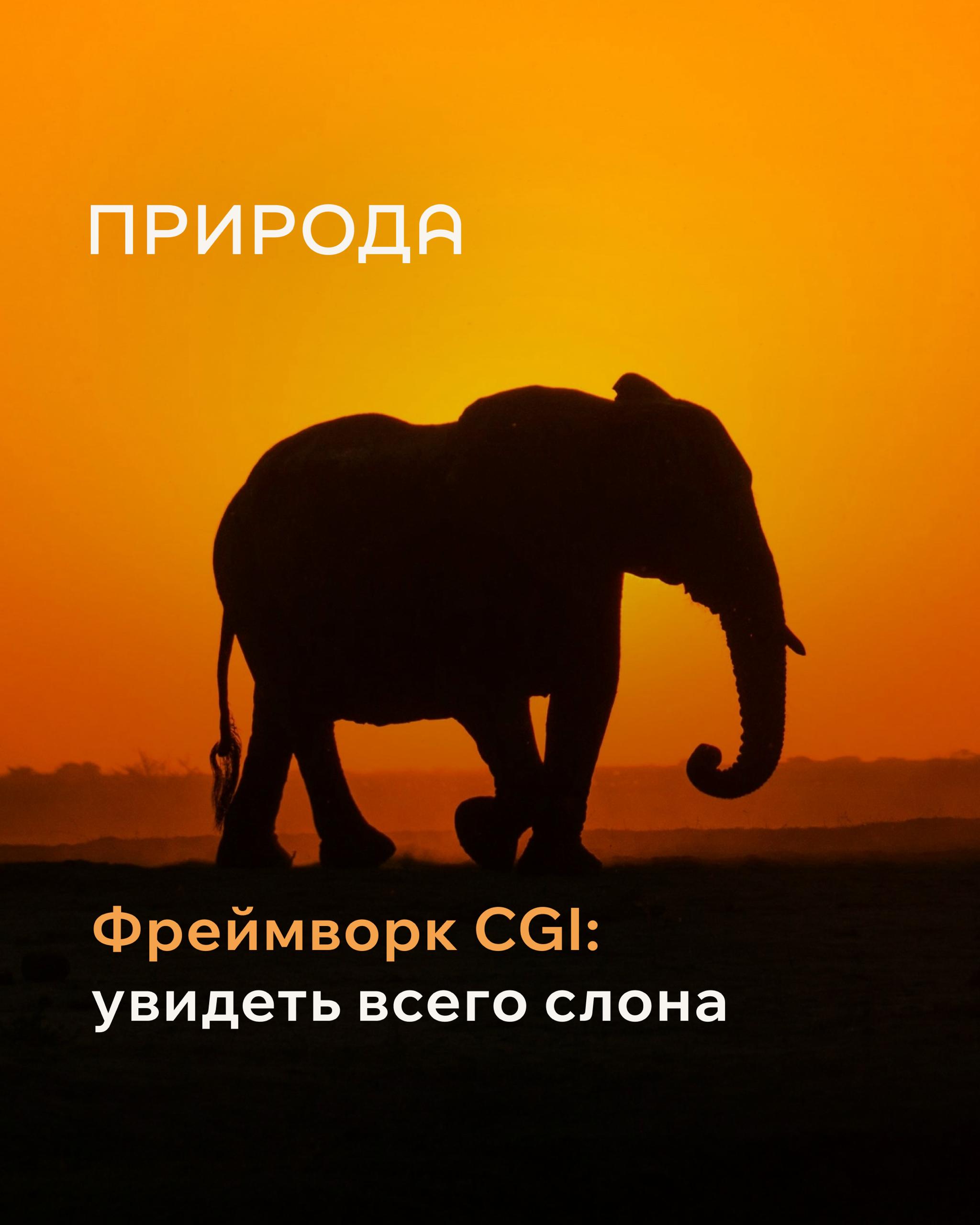 Строим сплочённое сообщество с фреймворком CGI 🤝
Притча про трёх слепцов, которые исследовали слона:
Один, дотронувшись, говорит: «О, это похоже на стену» | Сетка — социальная сеть от hh.ru