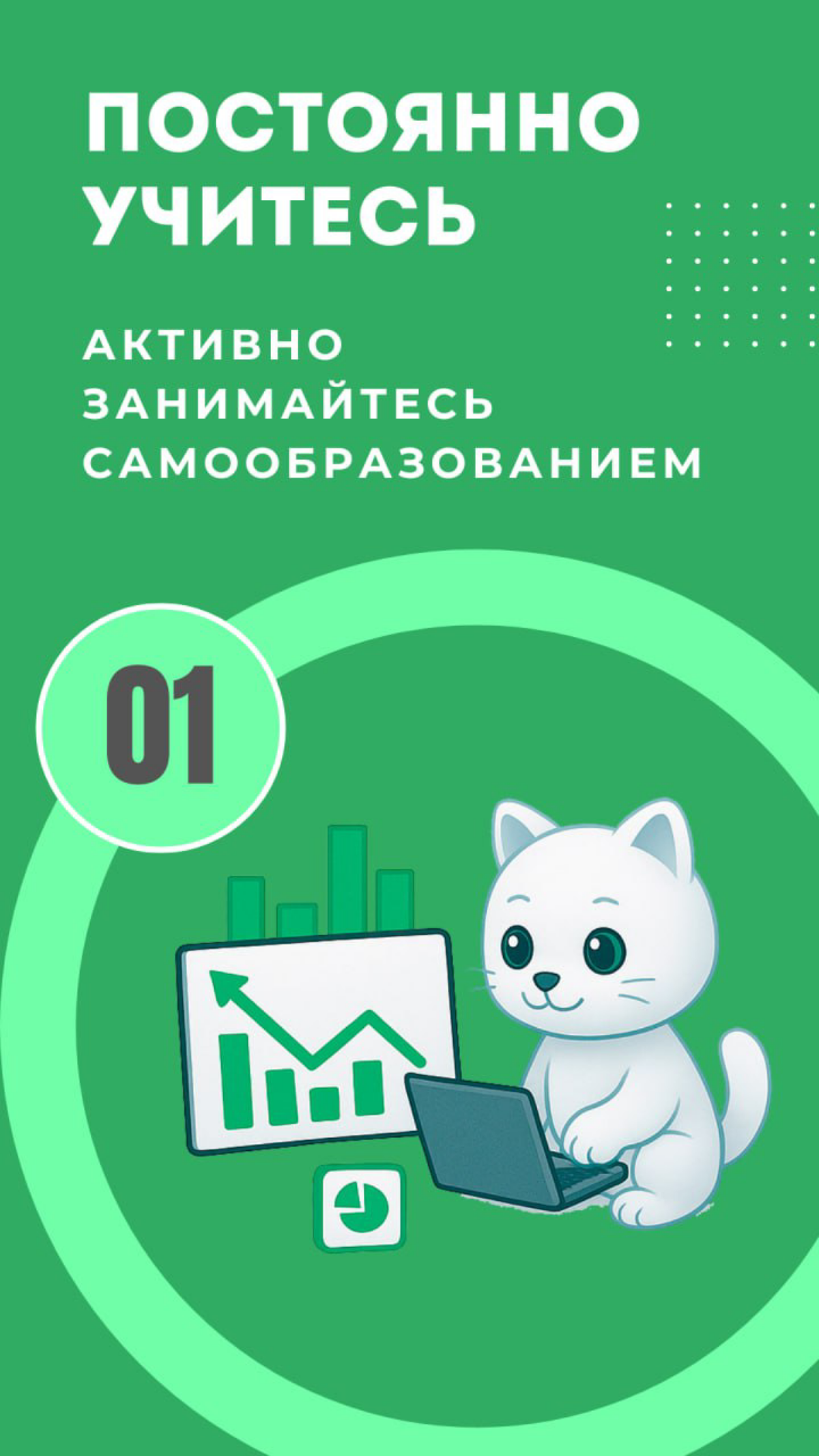 ☝️Начните путь к новой профессии уже сегодня | Сетка — социальная сеть от hh.ru
