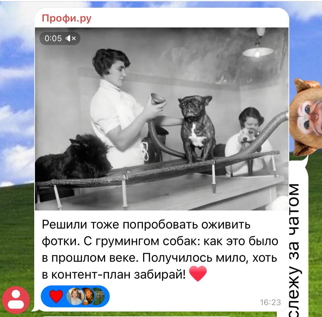Стихийный флешмоб брендов возник под постом с новой фичей от Алисы | Сетка — социальная сеть от hh.ru