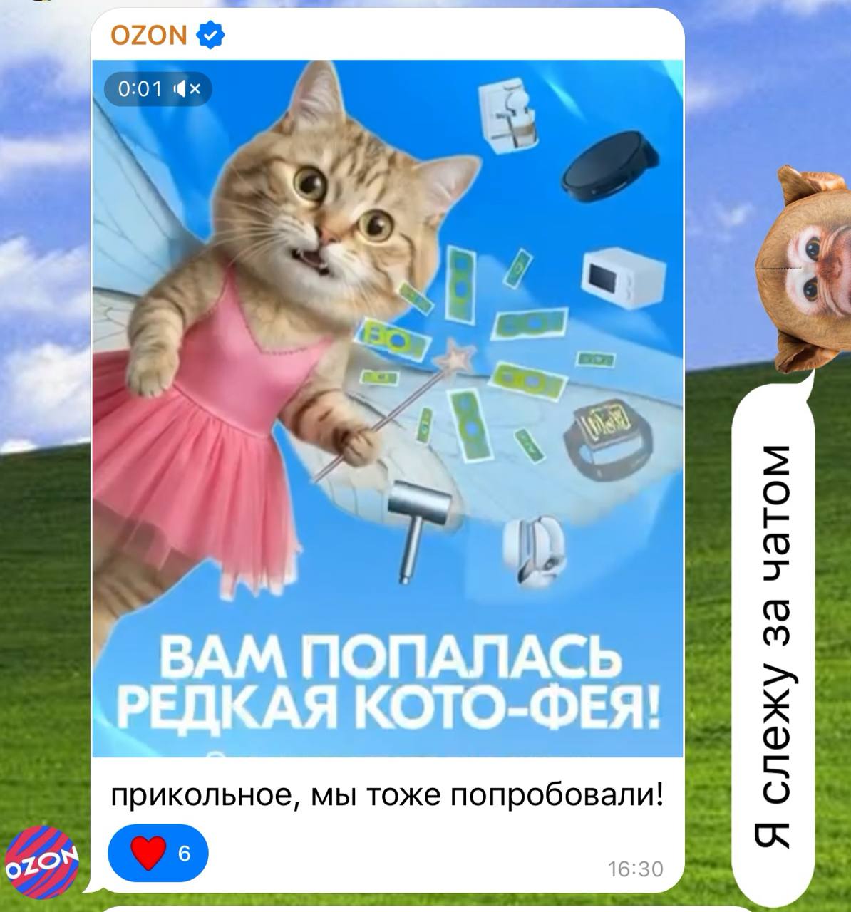 Стихийный флешмоб брендов возник под постом с новой фичей от Алисы | Сетка — социальная сеть от hh.ru