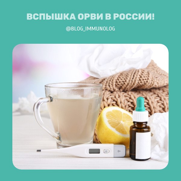 ⚠️ Вспышка ОРВИ в России: почти 700 000 случаев! 🤧🤒
Друзья, ситуация с респираторными заболеваниями в стране ухудшается! За прошедшую неделю количество случаев ОРВИ выросло на колоссальные 63,8%! 🤯 Эт... | Сетка — социальная сеть от hh.ru