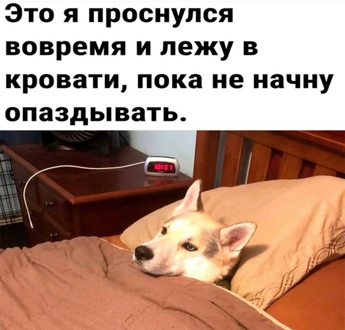 🔤 нашла забавные картинки | Сетка — социальная сеть от hh.ru