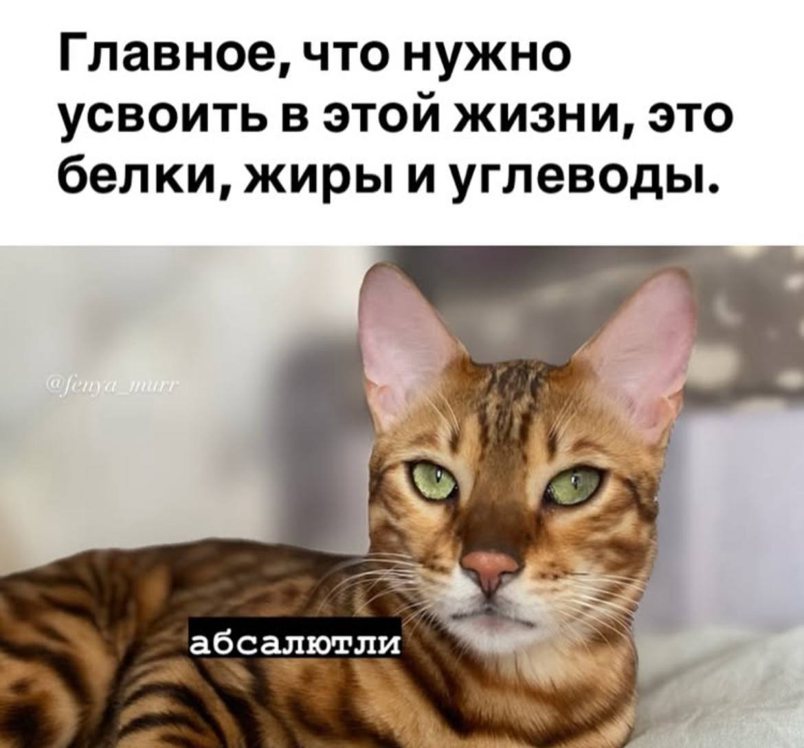 🔤 нашла забавные картинки | Сетка — социальная сеть от hh.ru