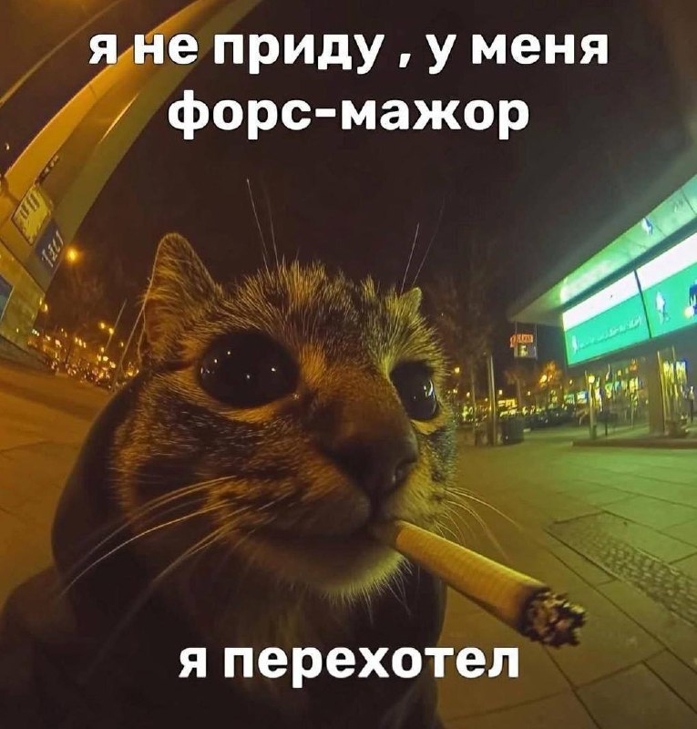 🔤 нашла забавные картинки | Сетка — социальная сеть от hh.ru