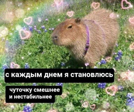 🔤 нашла забавные картинки | Сетка — социальная сеть от hh.ru