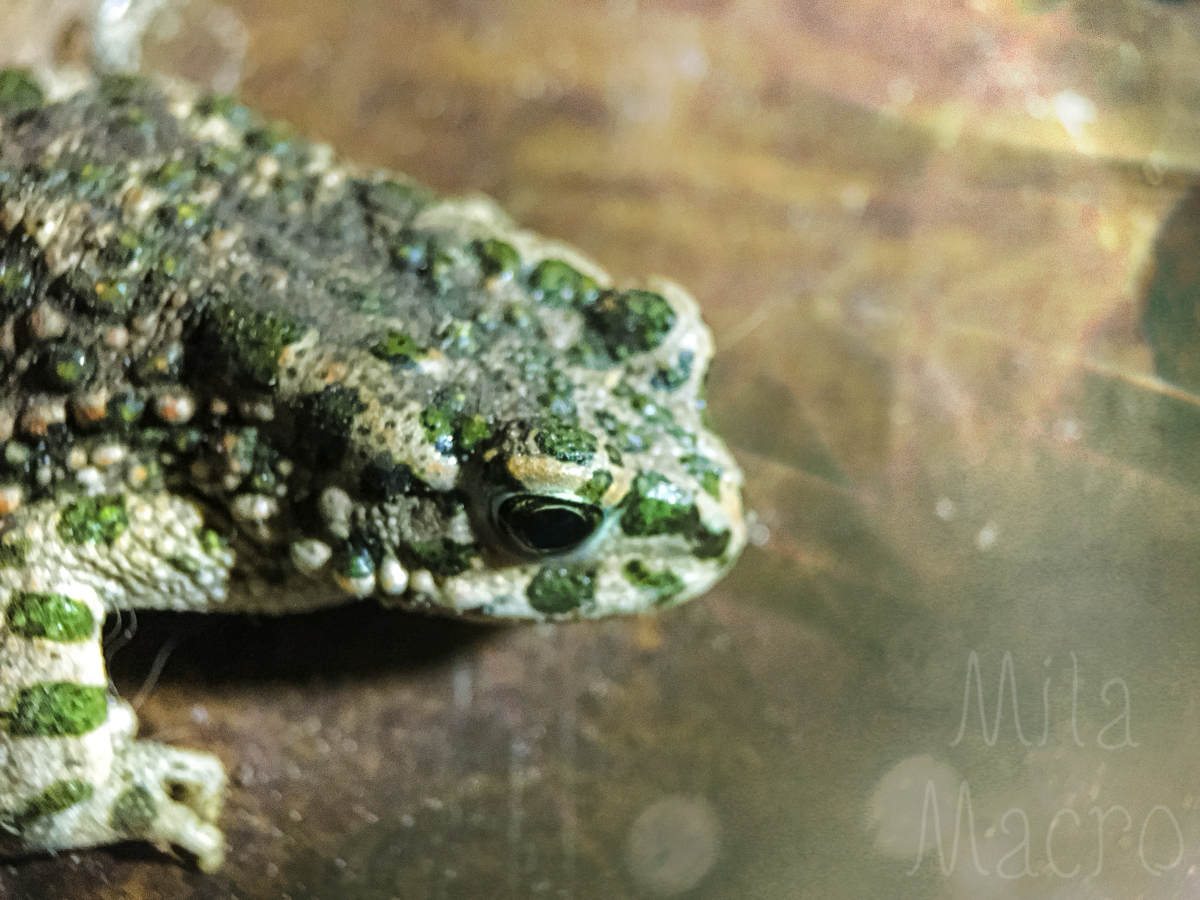 It’s Wednesday, my dudes) | Сетка — социальная сеть от hh.ru