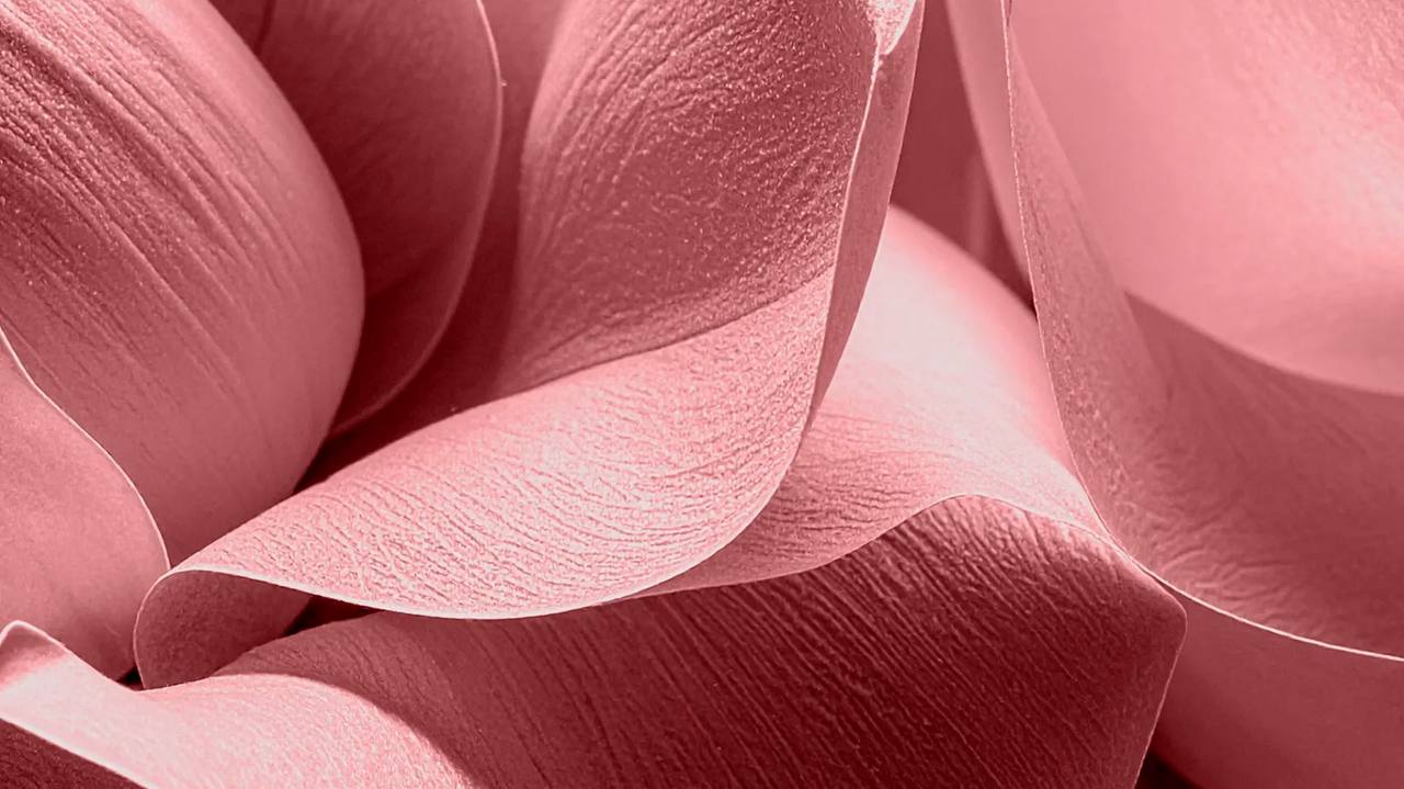Pantone и весна-лето 2026: что говорят тренды цвета
Pantone опубликовал прогноз оттенков на весенне-летний сезон 2026 | Сетка — социальная сеть от hh.ru