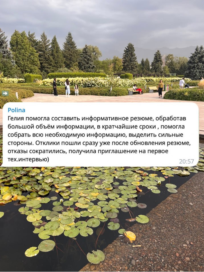 Фидбек от middle QA manual 💌
#отзывы | Сетка — социальная сеть от hh.ru