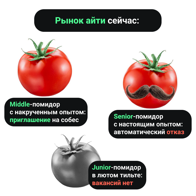 Кто врёт больше: работодатели или кандидаты? 🤔 | Сетка — социальная сеть от hh.ru
