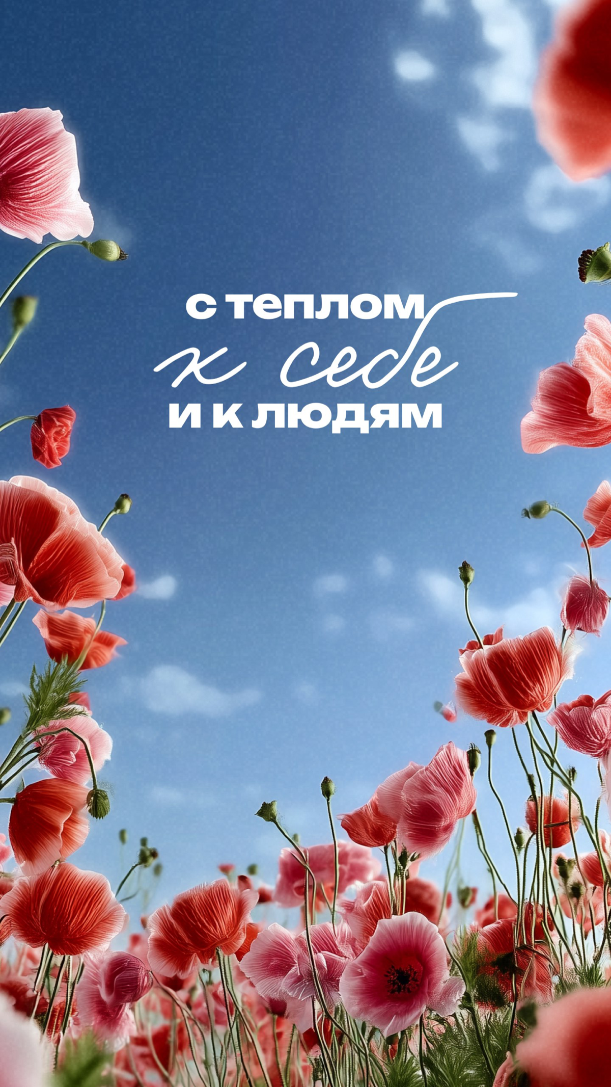💙 Сегодня — День HR-менеджера | Сетка — социальная сеть от hh.ru