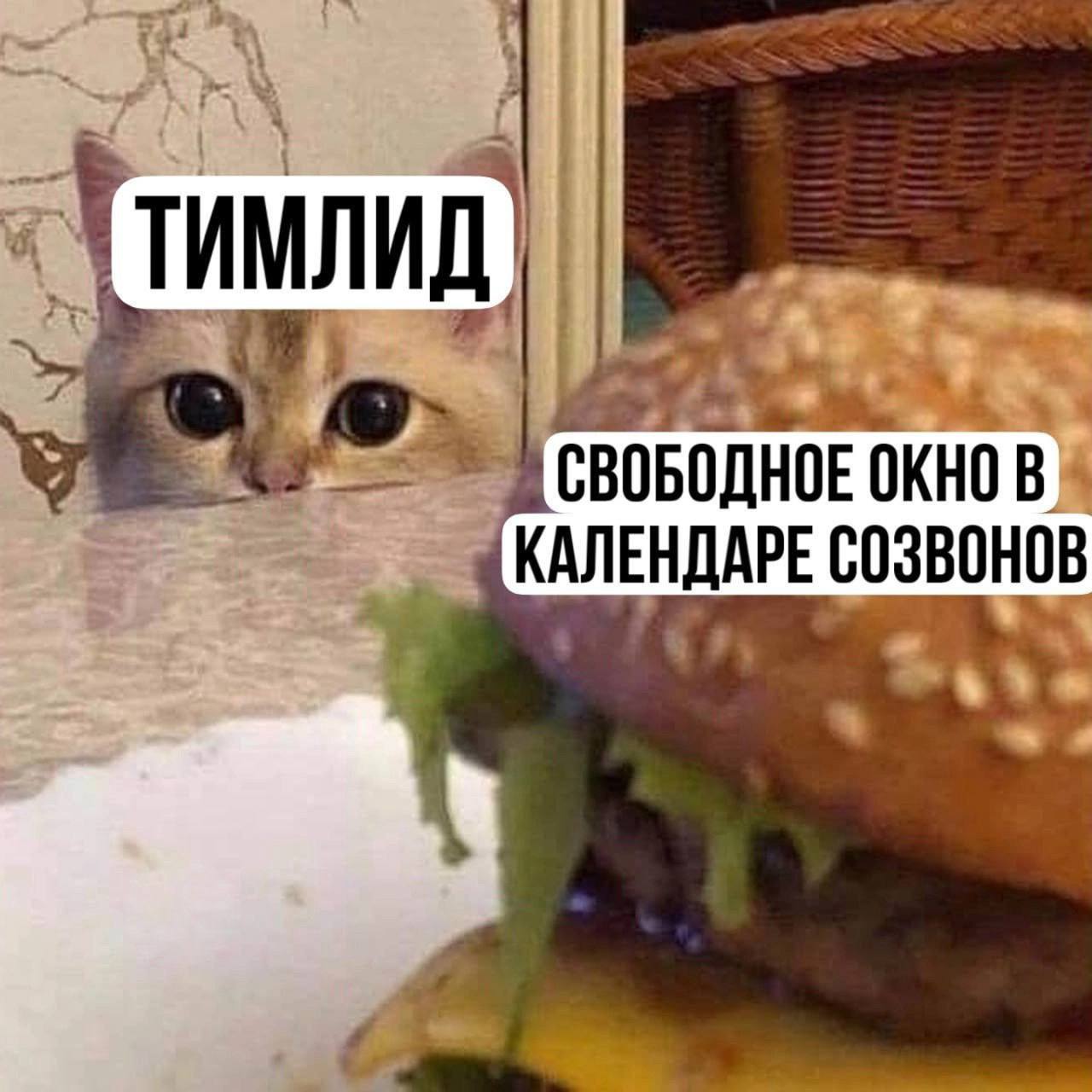 #IT
😂 Твой Пакет Мемов
🛍 Другие каналы
В этом посте были ссылки, но мы их удалили по правилам Сетки | Сетка — социальная сеть от hh.ru
