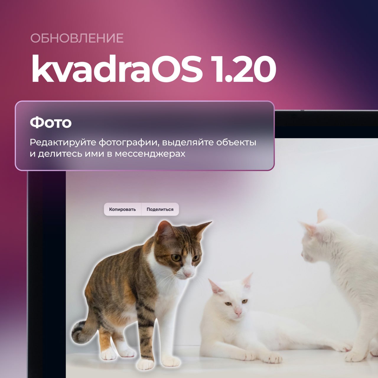 ⏺ Вышла kvadraOS 1 | Сетка — социальная сеть от hh.ru