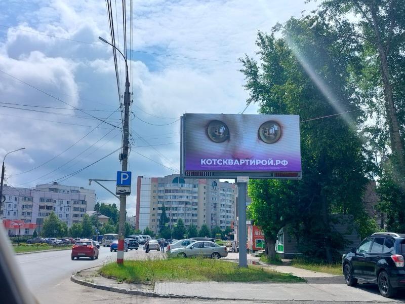 Девелопер BM Group взял бездомную кошки из приюта, сделал рекламу с ней и предложил всем желающим купить квартиру, в которой 50% оформлена на пушистую владелицу | Сетка — социальная сеть от hh.ru