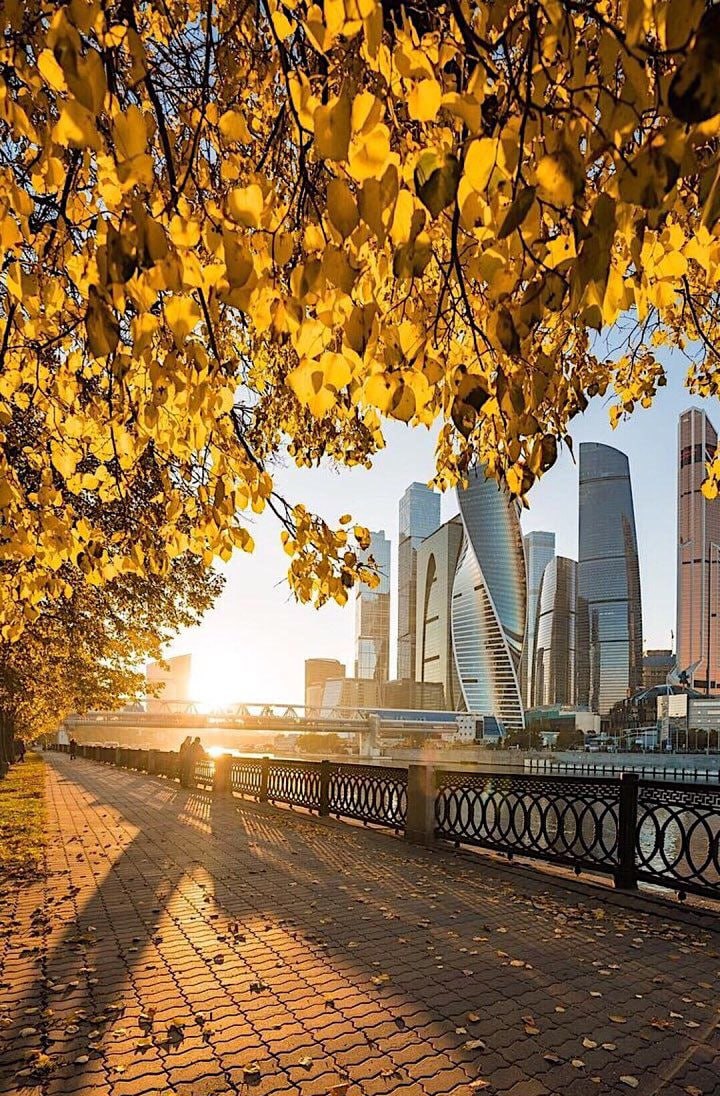 📸Фотовыставка «Удивительная Москва»
До 30 сентября
Вы увидите изображения уютных столичных двориков, игры света на стекле небоскребов, отражения в брусчатке после летнего дождя, яркие краски парков
▫️... | Сетка — социальная сеть от hh.ru