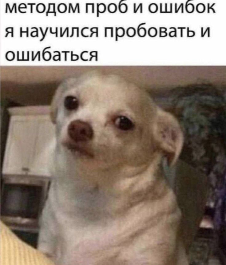 «За деньги да» против самоуважения🤔 | Сетка — социальная сеть от hh.ru