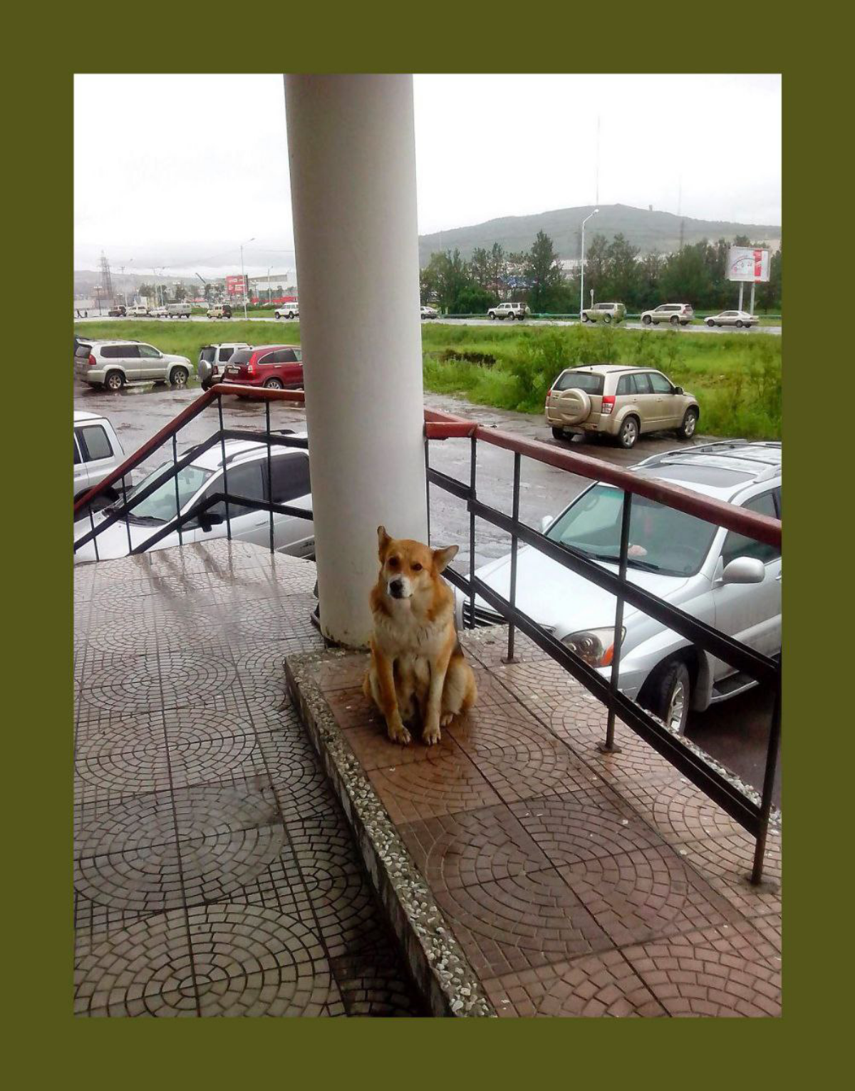 Тётя Судья, а Папа скоро выйдет? / Aunt Judge i wonder if my Dad is out soon? | Сетка — социальная сеть от hh.ru