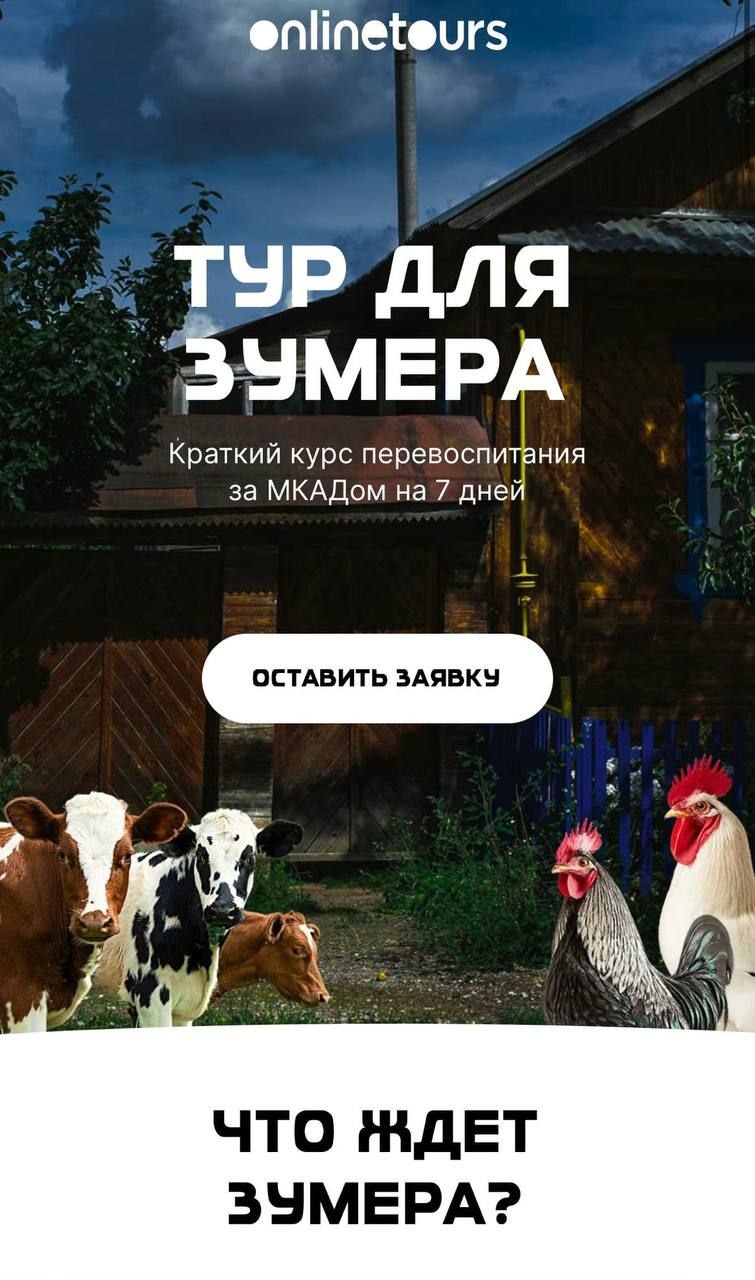 ААА! В России появились туры по перевоспитанию зумеров | Сетка — социальная сеть от hh.ru