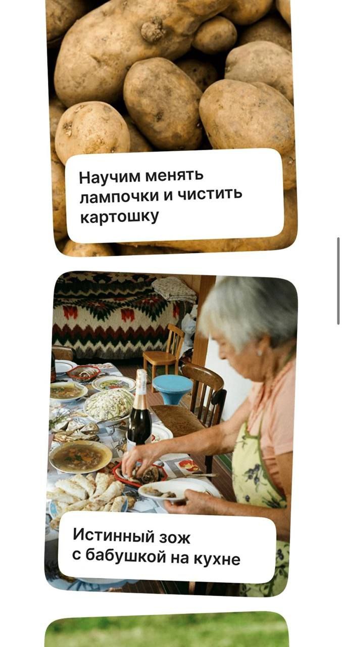 ААА! В России появились туры по перевоспитанию зумеров | Сетка — социальная сеть от hh.ru