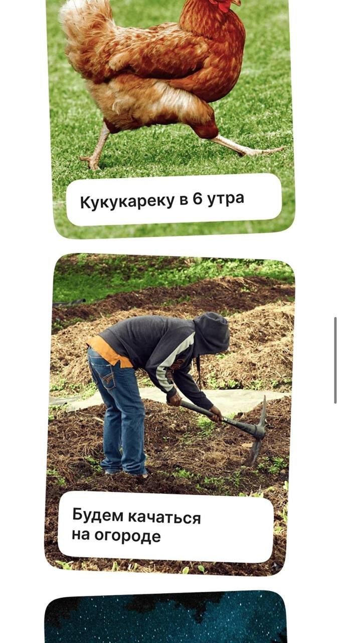ААА! В России появились туры по перевоспитанию зумеров | Сетка — социальная сеть от hh.ru