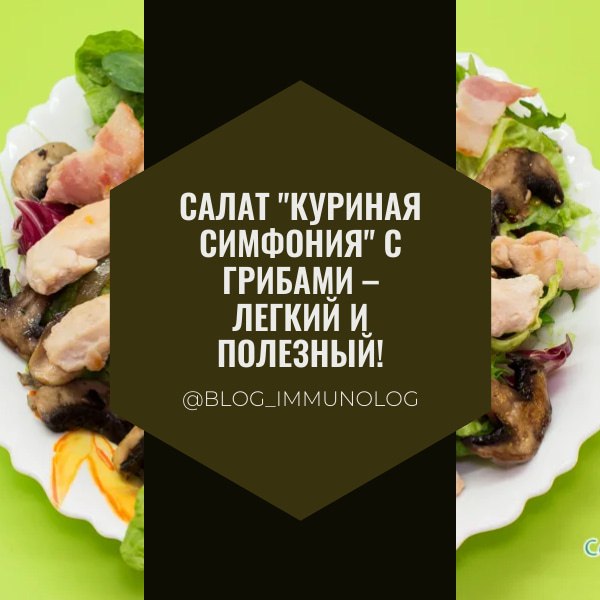 🥗 Салат "Куриная симфония" с грибами – легкий и полезный! 🍗🍄
Друзья, сегодня делюсь рецептом невероятно вкусного и простого салата, который идеально подойдет для легкого ужина или обеда | Сетка — социальная сеть от hh.ru