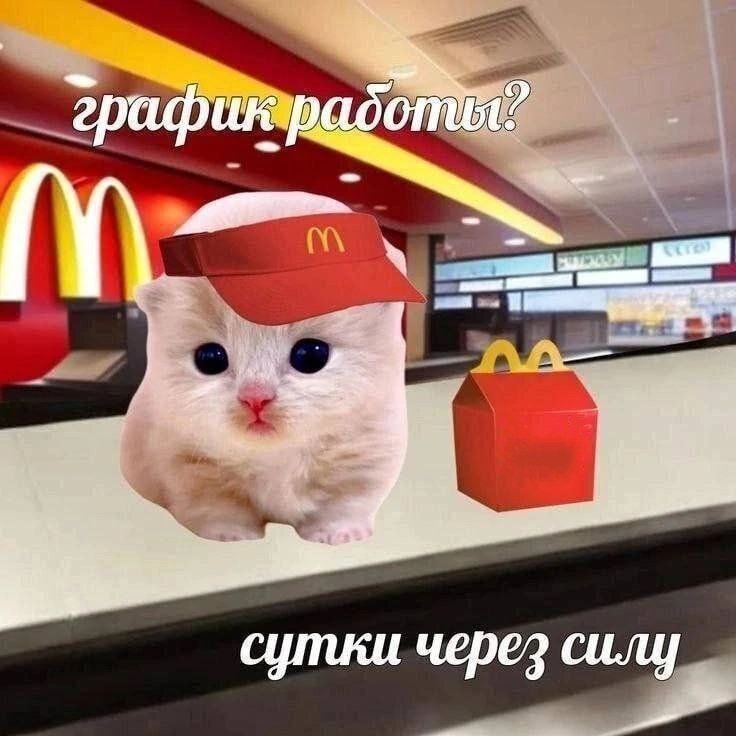 Коллеги, чей график слили? | Сетка — социальная сеть от hh.ru