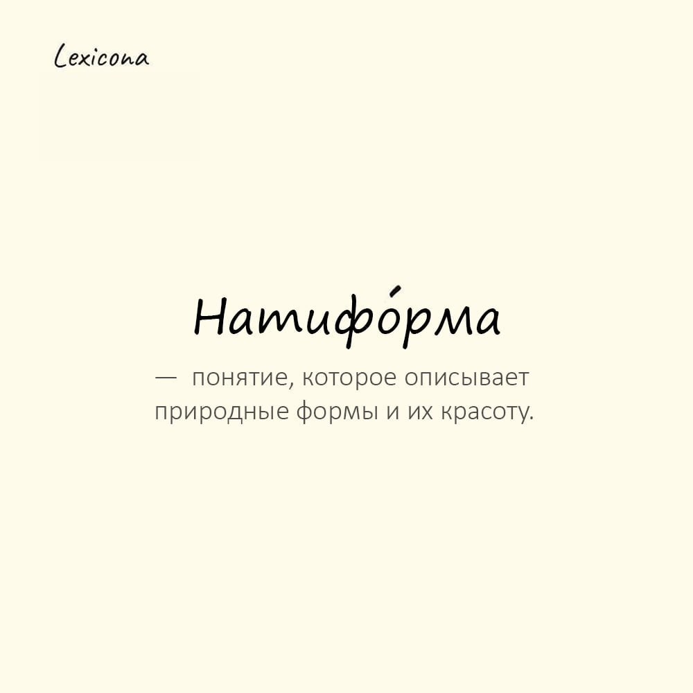Натиформа — понятие, которое описывает природные формы и их красоту 🍃
Пример употребления:
На старом дубе мы разглядели натиформу, удивительно напоминающую человеческое лицо | Сетка — социальная сеть от hh.ru