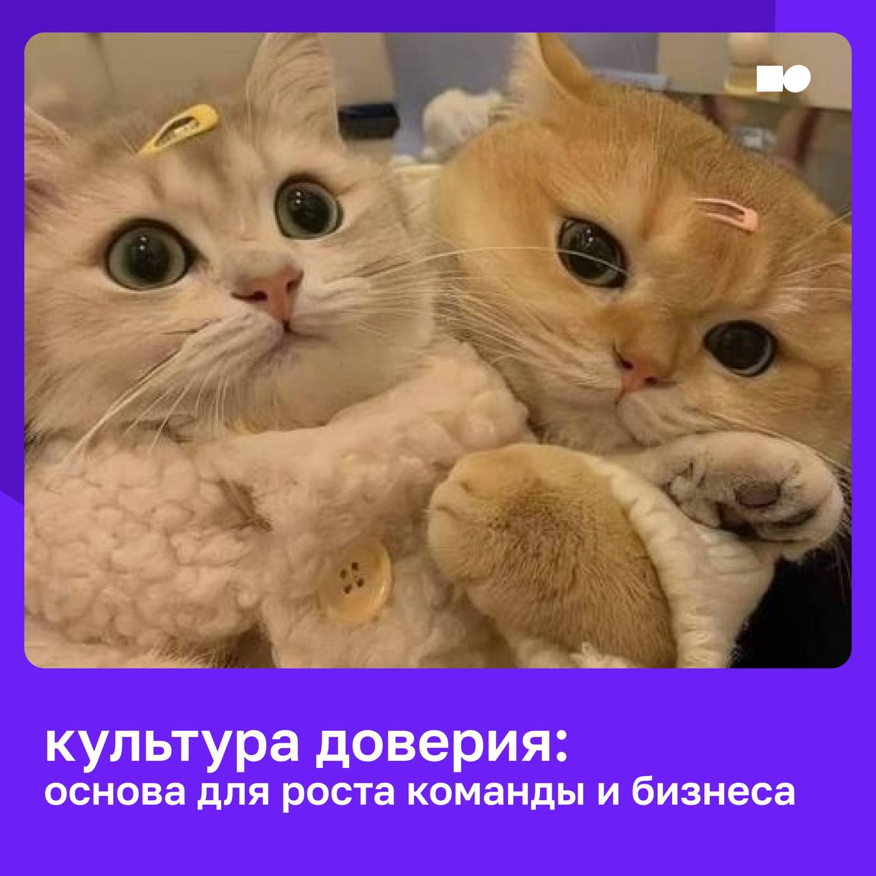💜 Культура доверия: как лидеры создают пространство для роста
Компании часто говорят о росте, новых продуктах, рынках, технологиях, но устойчивое развитие всегда начинается с того, как выстроены отнош... | Сетка — социальная сеть от hh.ru