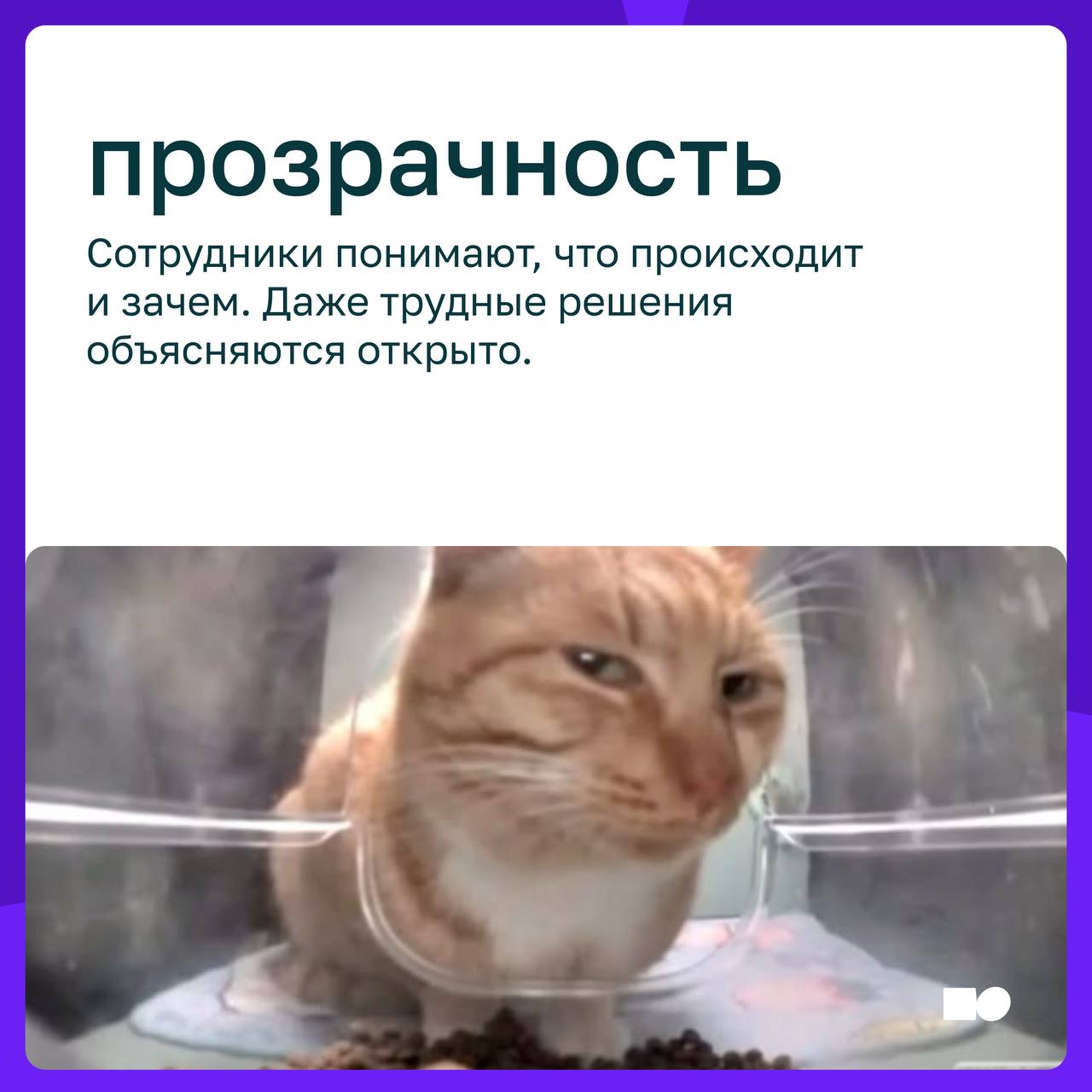 💜 Культура доверия: как лидеры создают пространство для роста
Компании часто говорят о росте, новых продуктах, рынках, технологиях, но устойчивое развитие всегда начинается с того, как выстроены отнош... | Сетка — социальная сеть от hh.ru
