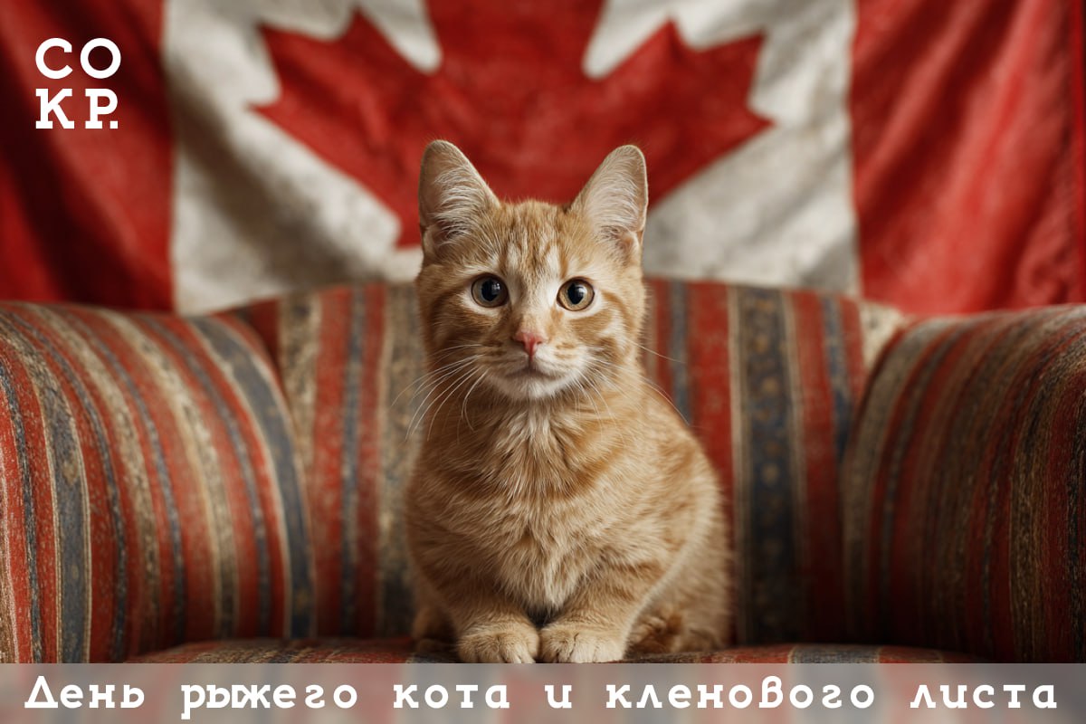 📅 18 сентября 2025 года — коротко о главном
• $/€ вверх: 83,00/98,30 ₽
• Мишустин: около 40 трлн ₽ направят на нацпроекты до 2030-го
• Правительство Великобритании признает государственность Палестины... | Сетка — социальная сеть от hh.ru