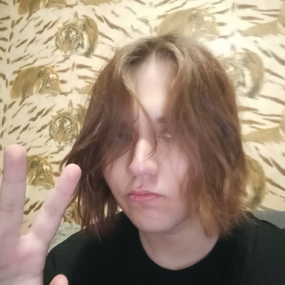 Денис Лебедев