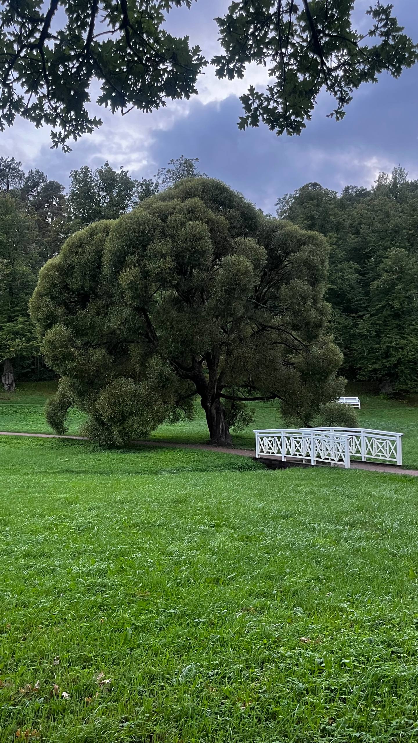 Немного лайва
Сгоняли в Выборг. От Москвы 800 туда и 800 км обратно. В сумме потрачено 16 часов на дорогу.
Красивый и спокойный город. Архитектура разная — шведская, финская, русская | Сетка — социальная сеть от hh.ru