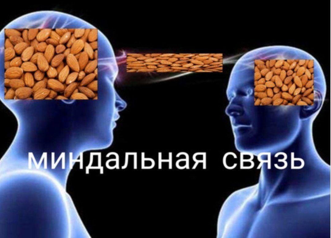 Механика работы фичи «поделиться корзиной» по версии Wildberries | Сетка — социальная сеть от hh.ru