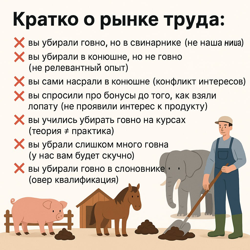 Кратко о рынке труда | Сетка — социальная сеть от hh.ru