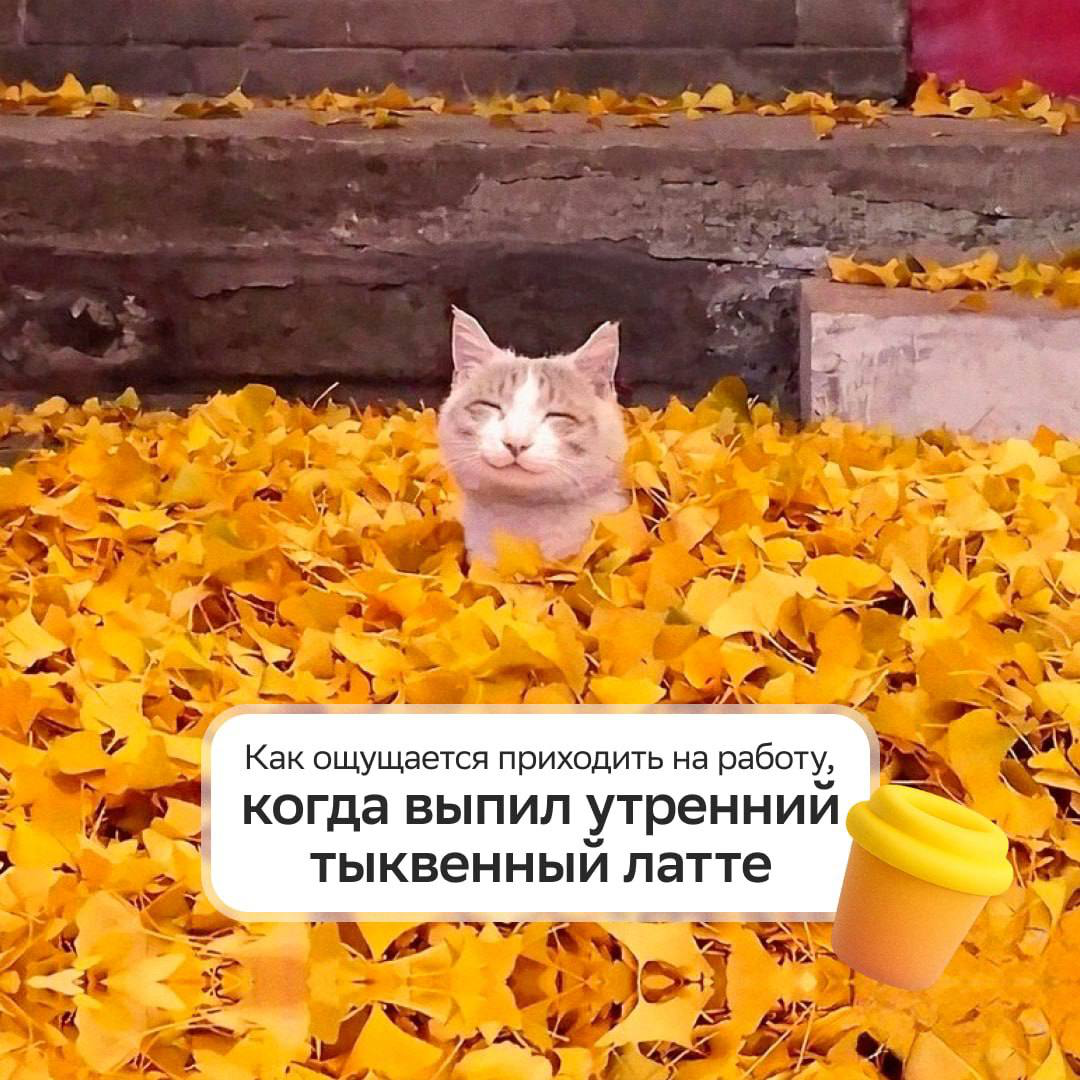 Начали день с тыквенного латте, а продолжили — карьерным ростом в Первой линии Сбера!
Если тебе по душе такой распорядок дня, выбирай свою вакансию в команде:
• Менеджер по работе с клиентами: https:/... | Сетка — социальная сеть от hh.ru