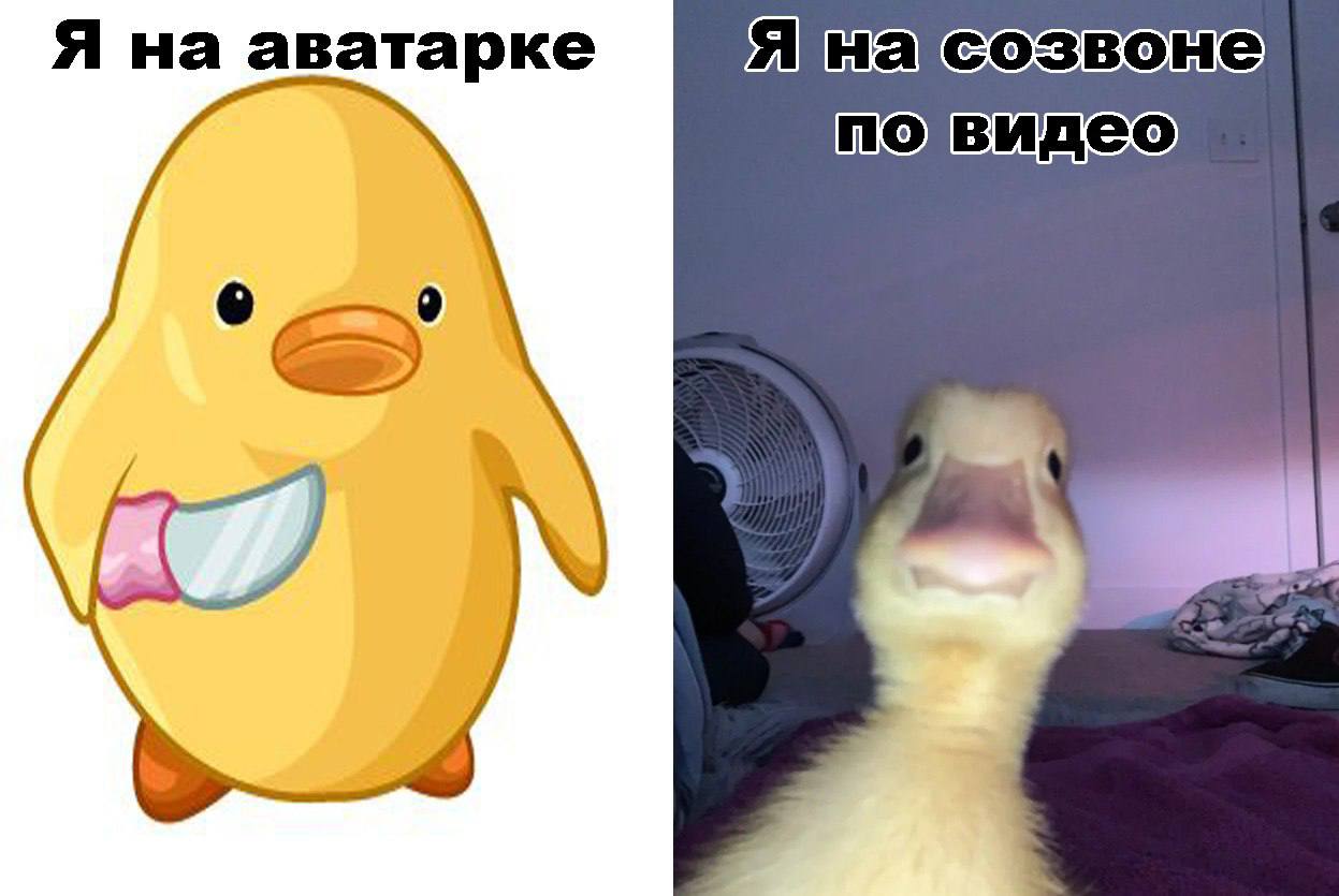 😨 Мемы есть? А если найду?
Мемотворчество в ГК Юзтех — отдельный вид искусства. Мы провели конкурс среди коллег и наградили чемпионов уточного юмора | Сетка — социальная сеть от hh.ru