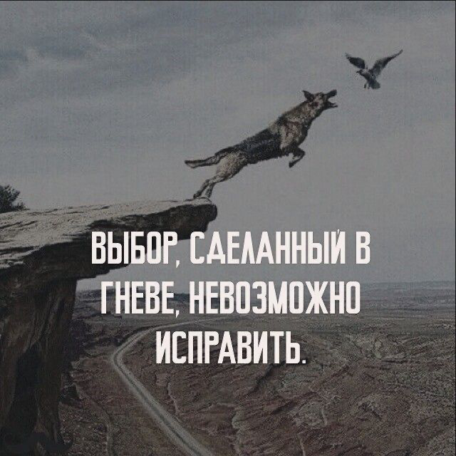 Не стоит  принимать решения сгоряча | Сетка — социальная сеть от hh.ru